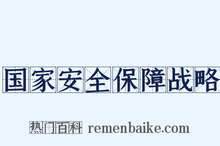 国家安全保障战略是什么意思的图片